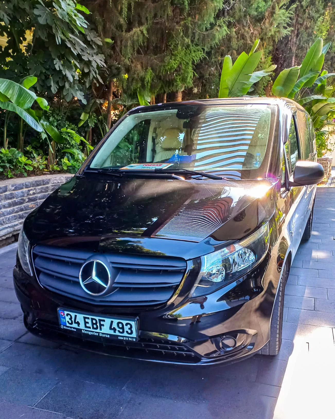our-cars